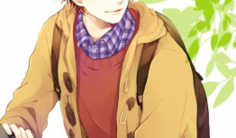 哥哥动漫,青春校园的温馨回忆